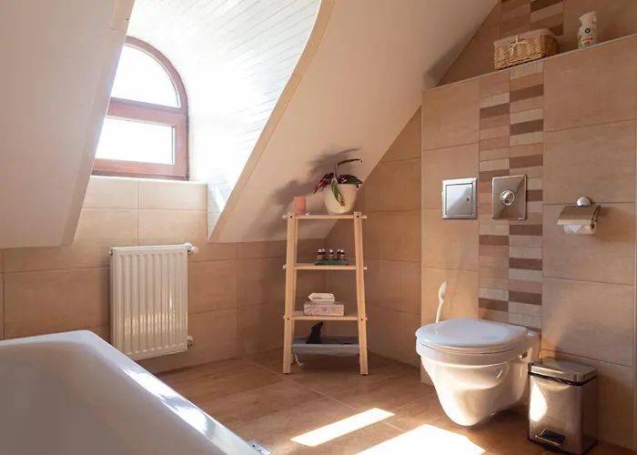 Fiastyúk Udvarház Csor